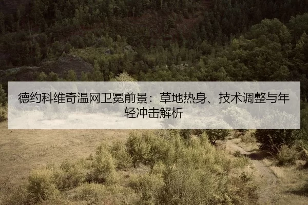 de-yue-ke-wei-qi-wen-wang-wei-mian-qian-jing-cao-di-re-shen-ji-shu-tiao-zheng-yu-nian-qing-chong-ji-jie-xi-2-603.jpg